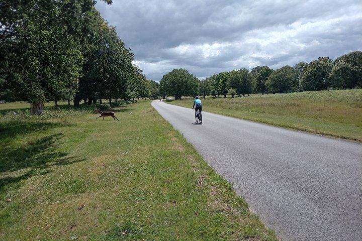 ロンドンEバイクツアーリッチモンドパーク鹿と隠れた宝石