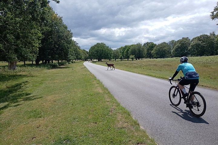 ロンドンEバイクツアーリッチモンドパーク鹿と隠れた宝石