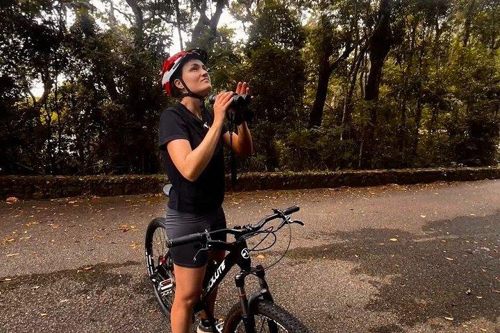 リオデジャネイロ・イージーフォレスト・バイクライド