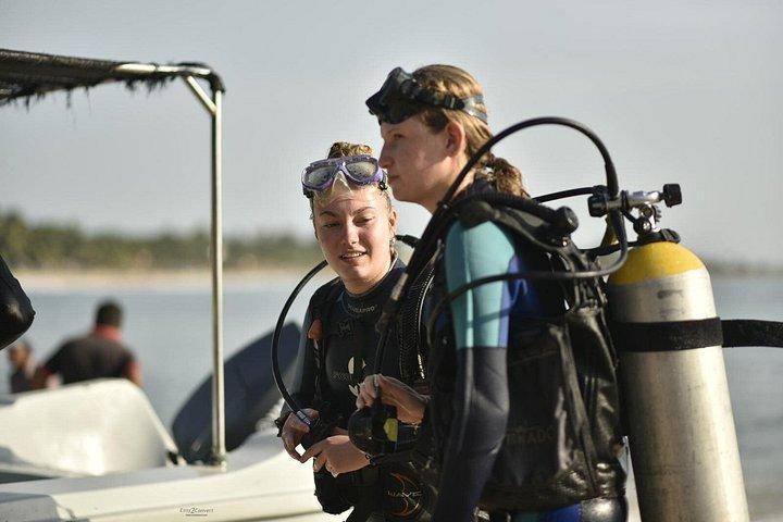 Guided Turtle Snorkelling Experience in Mirissa