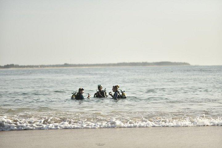 Guided Turtle Snorkelling Experience in Mirissa