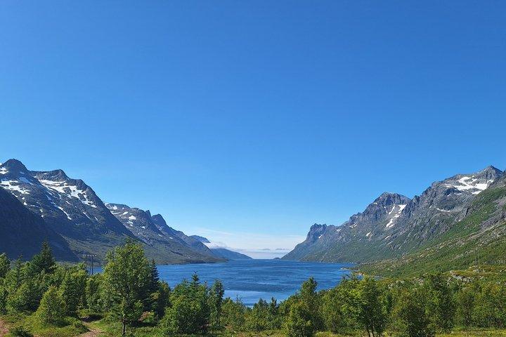Tromsö : Naturskön rundtur i Arktiska Fjordarna och öarna – liten grupp