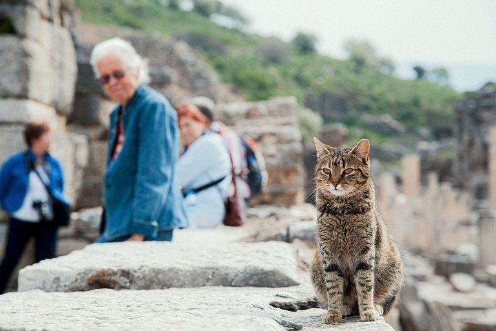 Ephesus Entry Ticket Ancient Metropolis of Anatolia