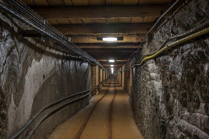 Wieliczka Salt Mine Privat halvdagstur fra Krakow
