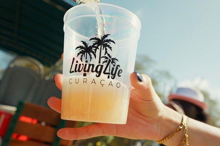 キュラソービーチとカメの西海岸バスツアー