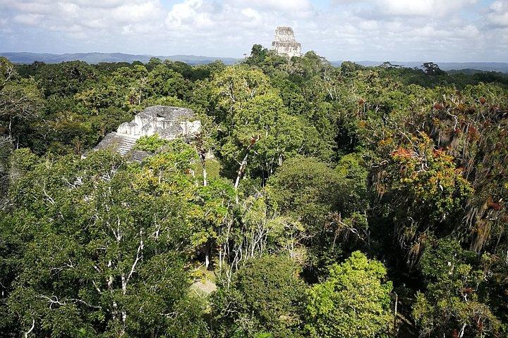 Maya Expedition: Mexico, Belize & Guatemala