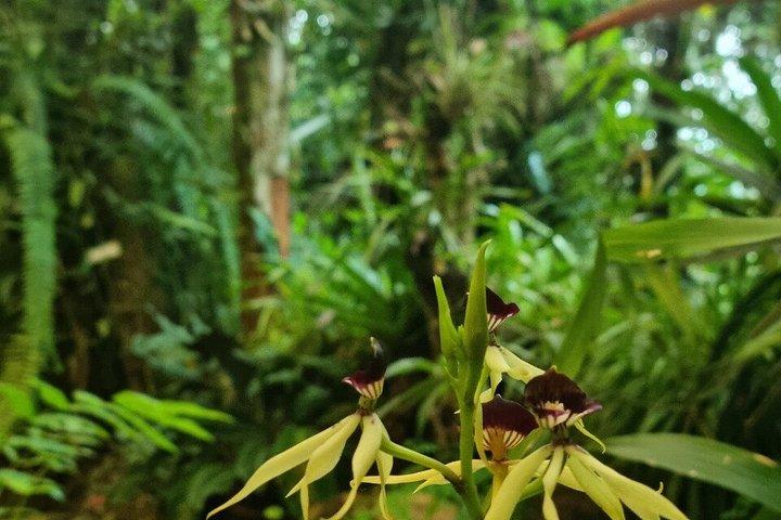 Maya Expedition: Mexico, Belize & Guatemala
