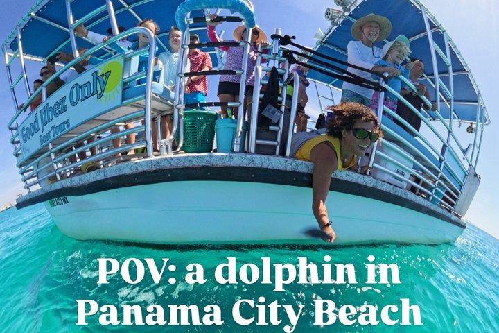 パナマシティビーチのシェル島近くのイルカ観光ツアー