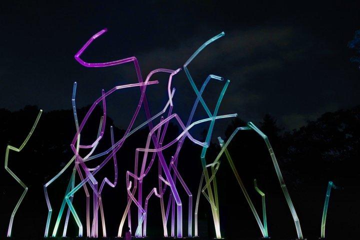 TeamLab Botanische Tuin Osaka Nachtelijke kunstervaring