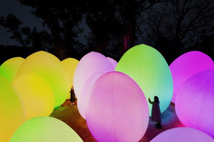 TeamLab Jardin botanique Osaka Night Art Experience