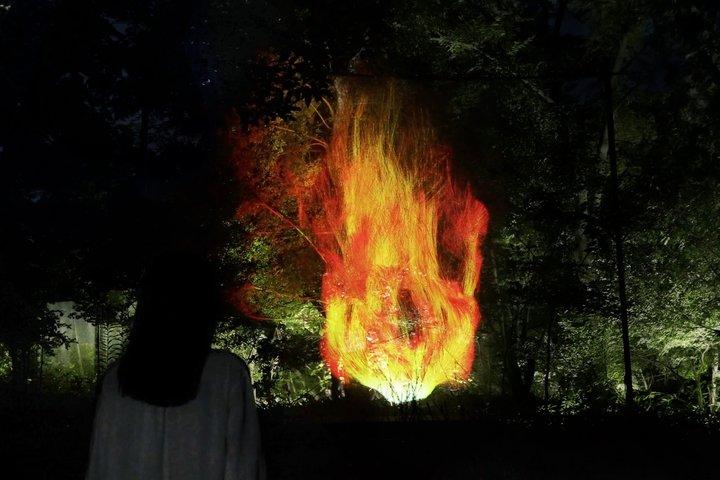TeamLab Jardin botanique Osaka Night Art Experience