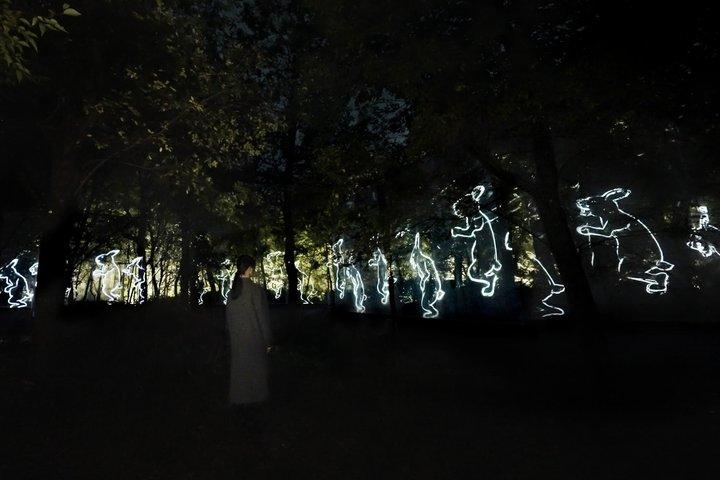 TeamLab Jardin botanique Osaka Night Art Experience