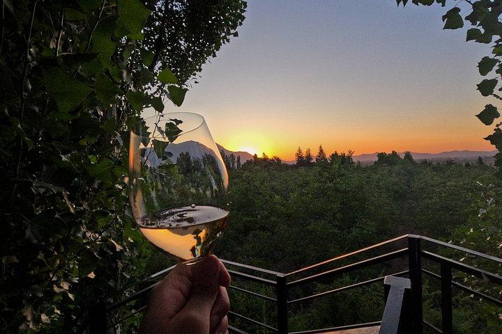 Viña Alyan Sunset Experience with Wine Tastings