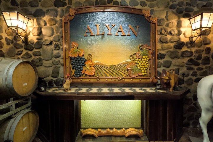 Viña Alyan Sunset Experience with Wine Tastings