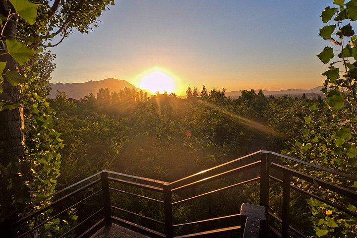 Viña Alyan Sunset Experience with Wine Tastings