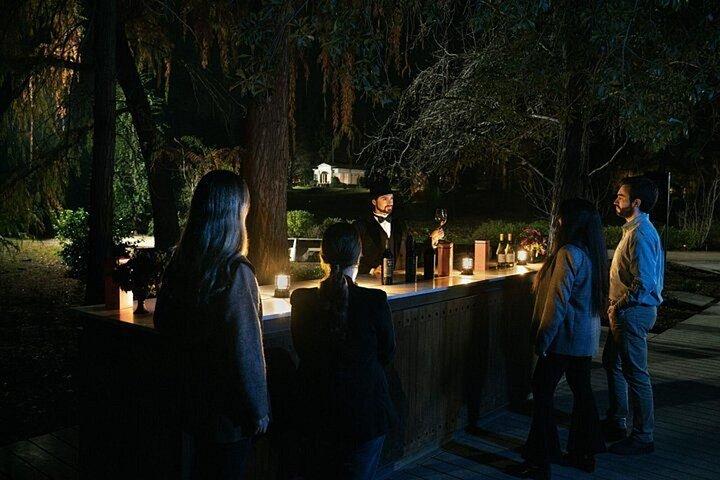Concha y Toro Night Tour & Dinner