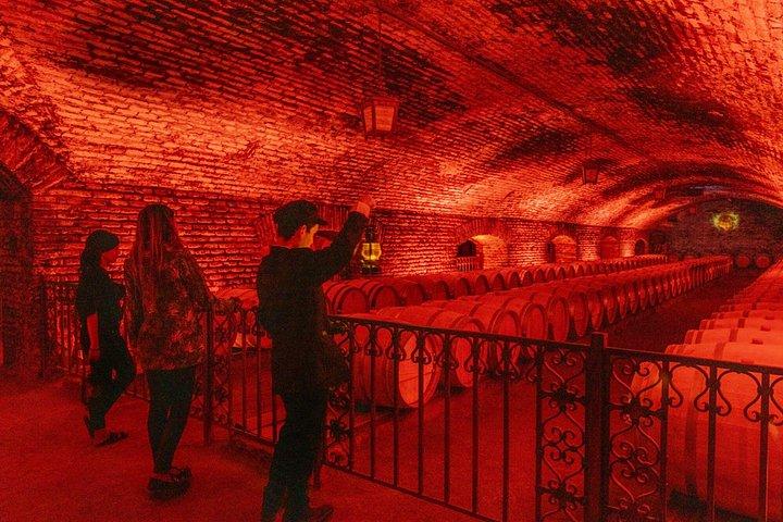 Concha y Toro Night Tour & Dinner