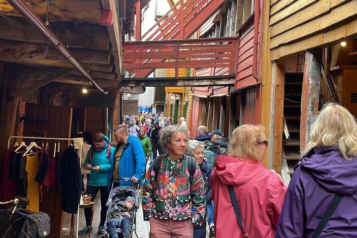 3 ore Bergen City Group Tour in auto