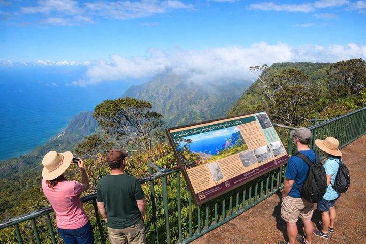Kauai Ganztagestour mit Kreuzfahrtschiffen oder Abholung vom Flughafen Kauai