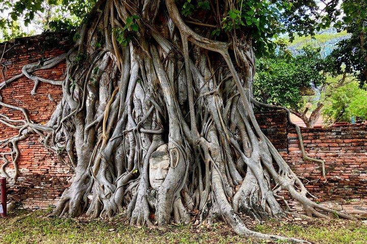Die ultimative Tour zu den 4 Ruinen der alten Hauptstadt Ayutthaya auf Japanisch 
