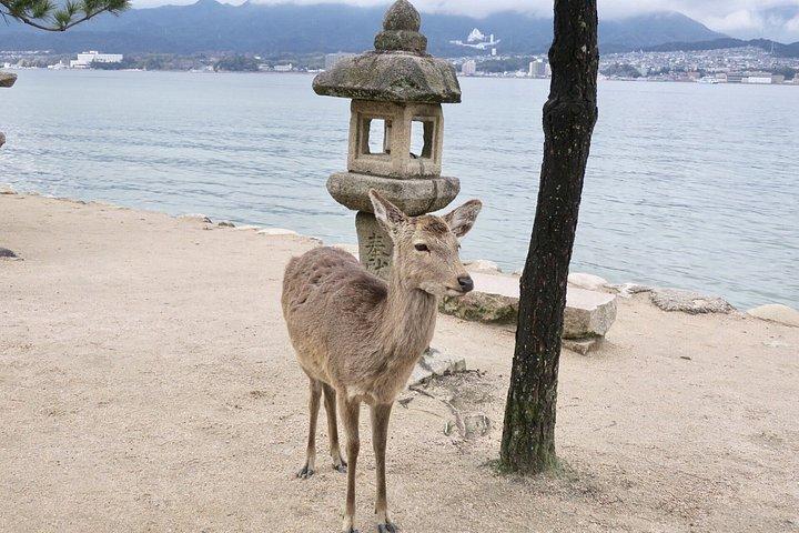 Private Shore Excursion: 7 hours Hiroshima Highlights