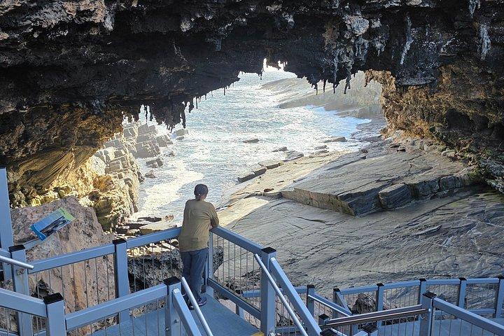 カンガルー島2日-日帰り小グループツアーエクスアデレード