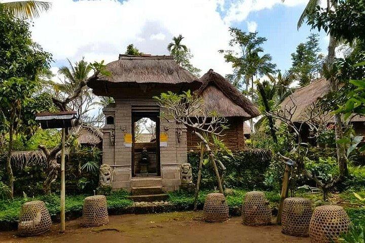 Limpeza Espiritual de Bali e Ancient Balinese Heritage Experience