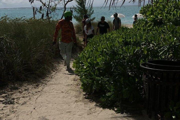 Visita guiada a la isla con almuerzo y senderos