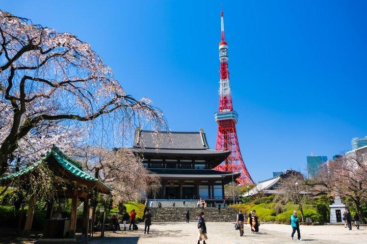 Hoteller i nærheden af Tokyo Cultural Shrine and Temple Tour Meiji Jingu and Asakusa
