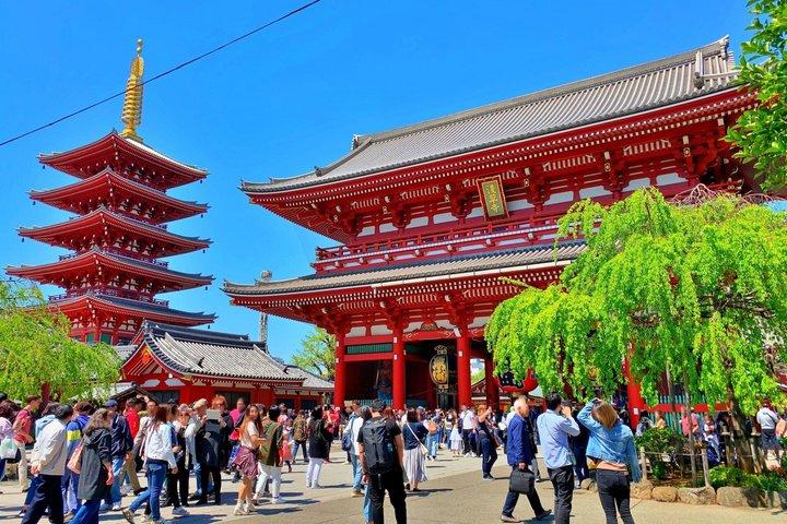 Hoteller i nærheden af Tokyo Cultural Shrine and Temple Tour Meiji Jingu and Asakusa