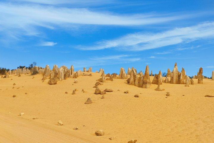 Tour di Koala, Lancelin, Wedge Island e Pinnacles da Perth