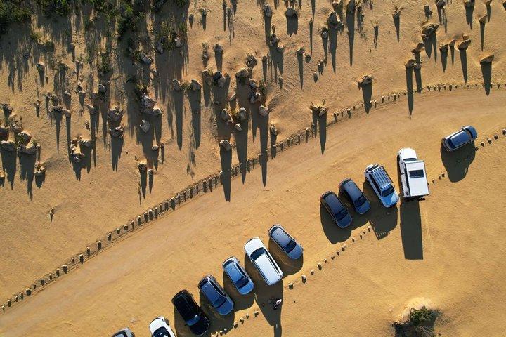 Tour di Koala, Lancelin, Wedge Island e Pinnacles da Perth