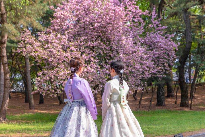 [Abholung vom Hotel] Gyeongju UNESCO Private Tour mit Ortskundiger Reiseleiter