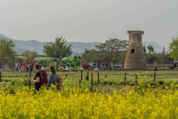 釜山または慶州での送迎付き、慶州ユネスコプライベートツアー