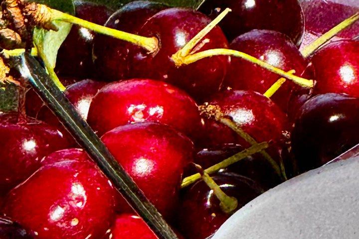 AVIGNON ULTIMATE TOUR: A Refined Food & Wine Experience