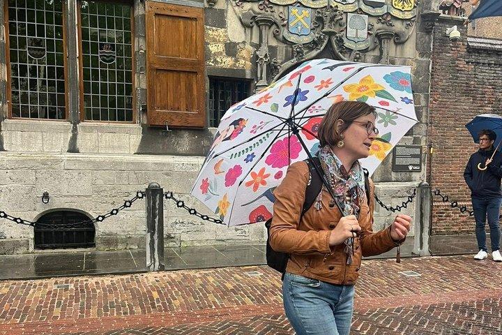 デルフトのプライベートウォーキングツアー：オランダ語黄金時代に飛び込む