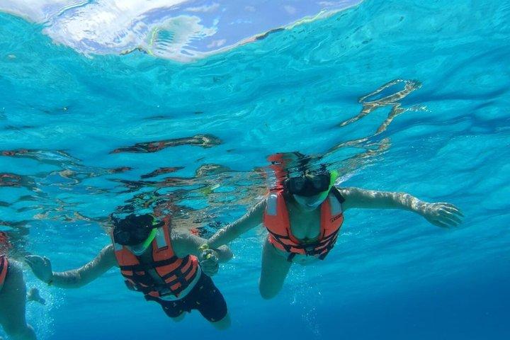 Excursion de plongée en apnée partagée à la plage d'El Cielo à Cozumel