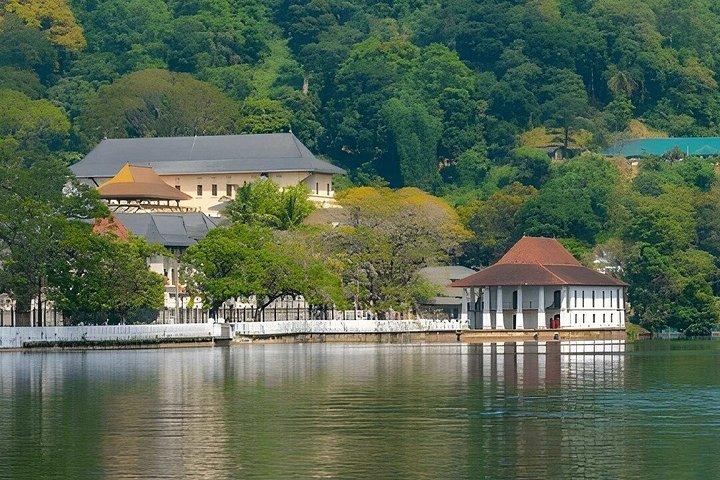 Private Transfer from Nuwara Eliya to Kandy with Sightseeing