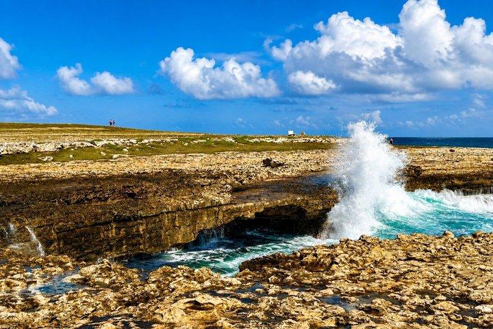 6h Bucket List Tour: Stingray City, Beach & lokal lunch