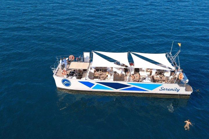 Dolphin Watching in Catamaran from Benalmadena