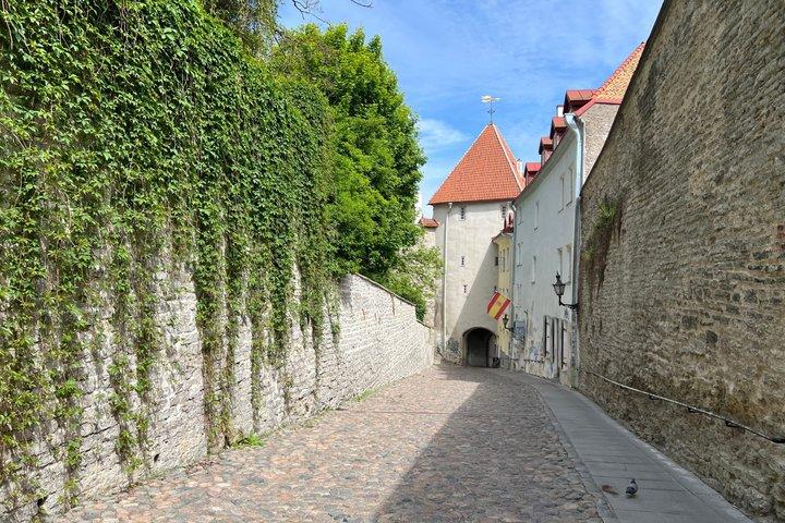 Geführte Tallinner Altstadtrundfahrt