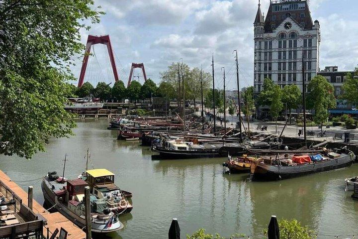 Rotterdam & Delft : tour privato con Cube House e trasferimento