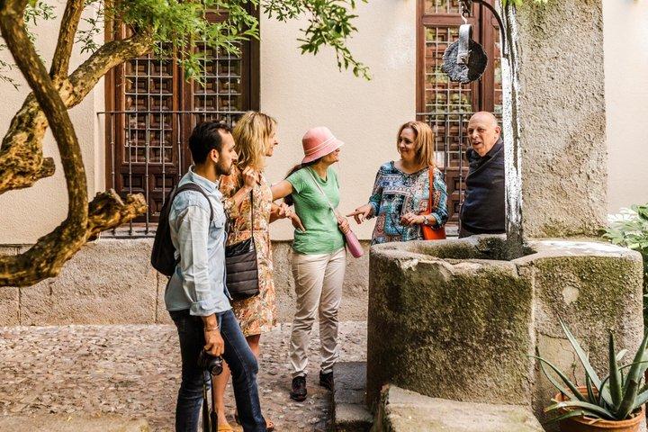 Malasaña : ローカル–ストリートアート＆カルチャーとプライベートカスタムツアー