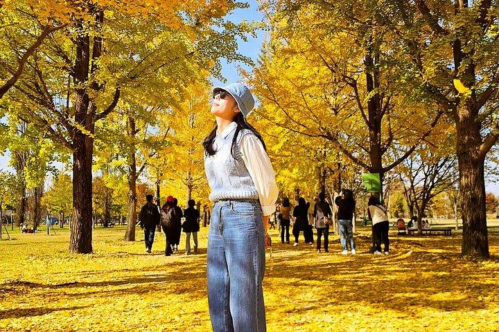 Wonju&Golden Bangye-ri Ginkgo Tree&Sogeumsan Cable Car from Seoul