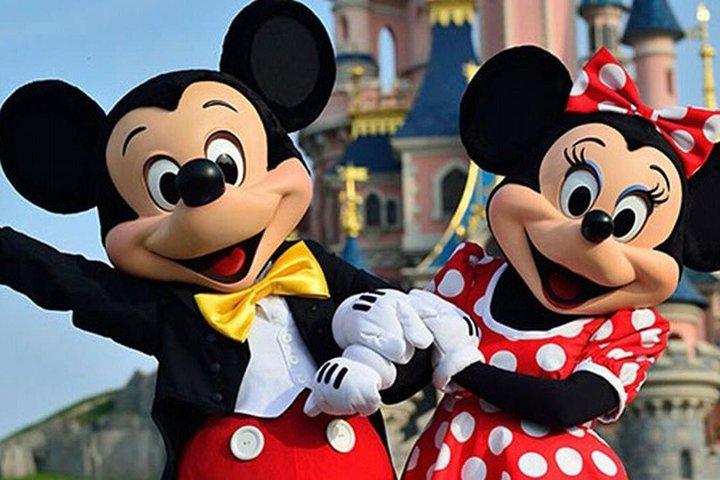 Paris Transferência privada para a Disneyland Paris de ida ou volta