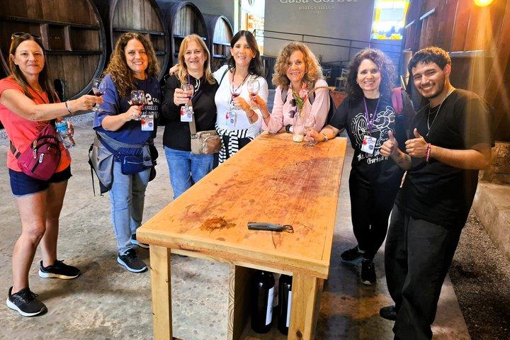 Excursion de 3 bodegas et 1 olivícola con degustación