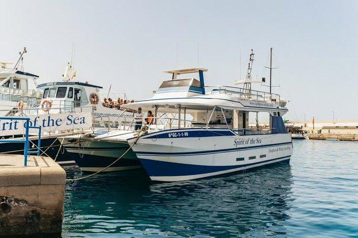 Havets ande: Valskådning på Gran Canaria
