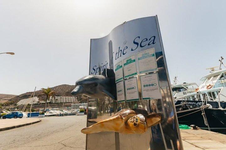 Crociera con balene e delfini a Porto Rico, Gran Canaria