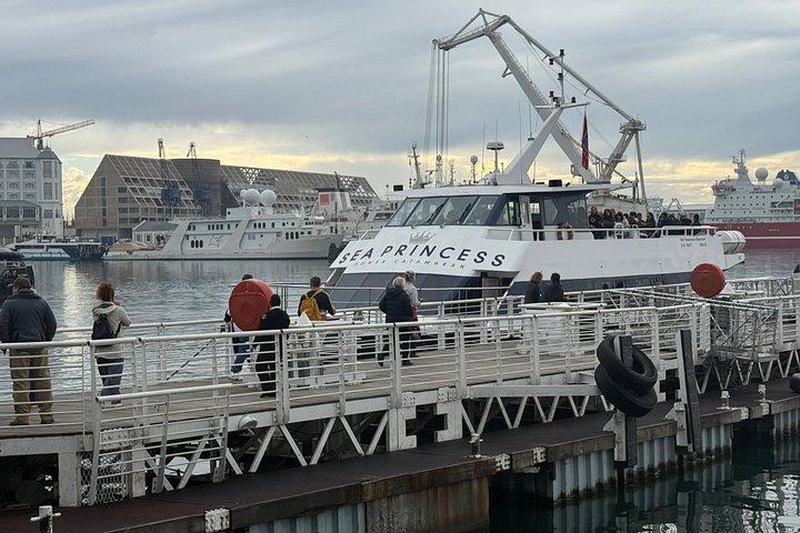 Robben Island Half-Day Tour & Former Prisoner Guide tickets