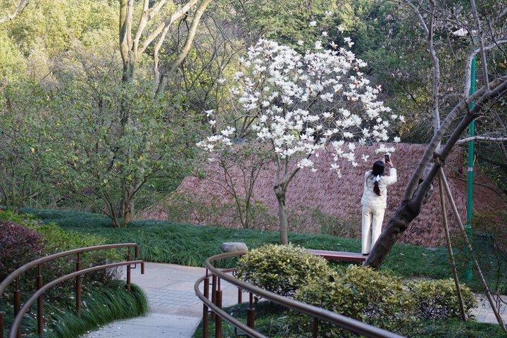 杭州西湖サイクリングツアー：中国はいかにして自然を芸術に変えたか